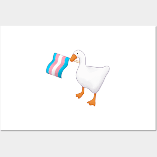 trans goose Posters and Art